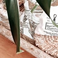 Microgarden Stainless Steel Pegs - Grade 304